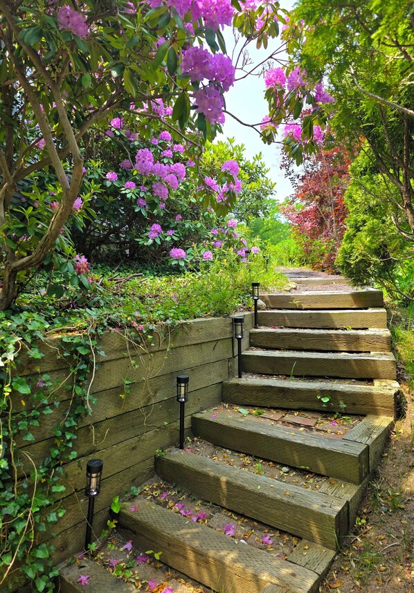 Una escalera de madera con lámparas tipo farol, rodeada de exuberante follaje y plantas florecientes.