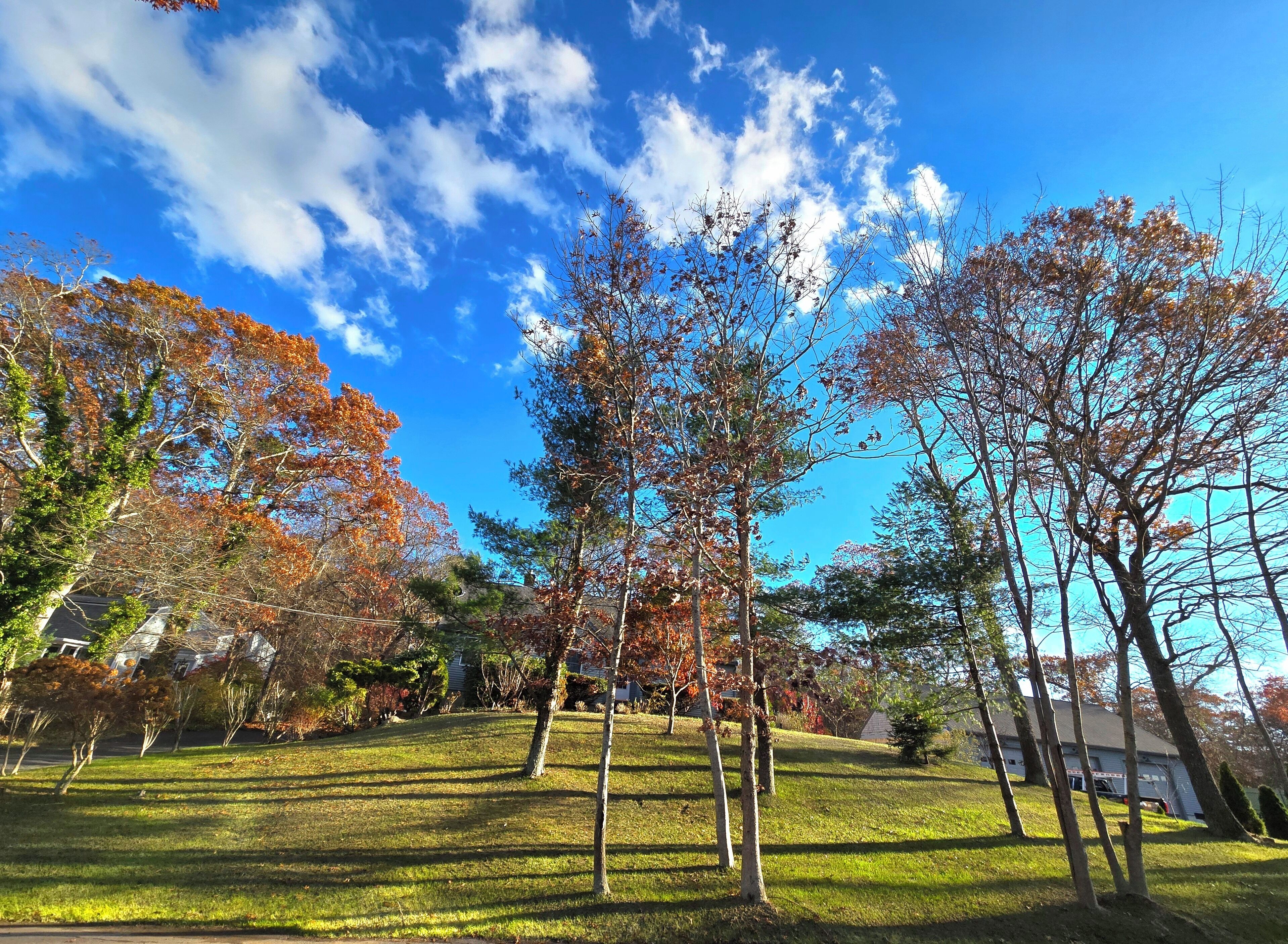 Un quartier résidentiel avec des maisons, des arbres et un ciel bleu dégagé.