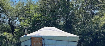 Glamping in a Mongolian yurt or shepherds hut in rural location in South Devon.