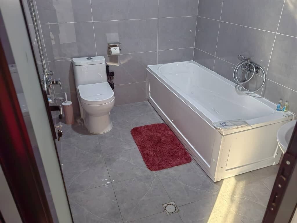Ein Badezimmer mit Toilette, Badewanne und einem roten Teppich.