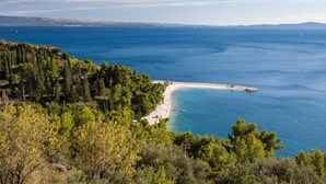 Un paysage côtier avec une plage, une forêt dense de pins et une mer bleue et limpide.