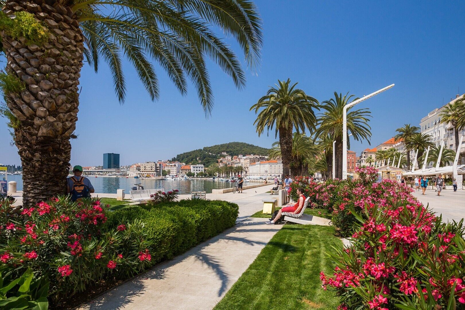 Una passeggiata costiera con palme, uno specchio d'acqua e una città sullo sfondo.