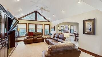 Télévision, cheminée, jeux vidéo, lecteur de DVD