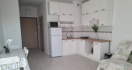 Apartment with WiFi, TV and parking in Zielonka near Warsaw