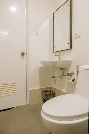 Bathroom features a toilet, sink, and mirror, with a wall-mounted toilet paper holder and a small trash bin.