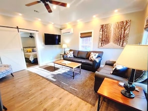 Smart TV, chimenea, libros