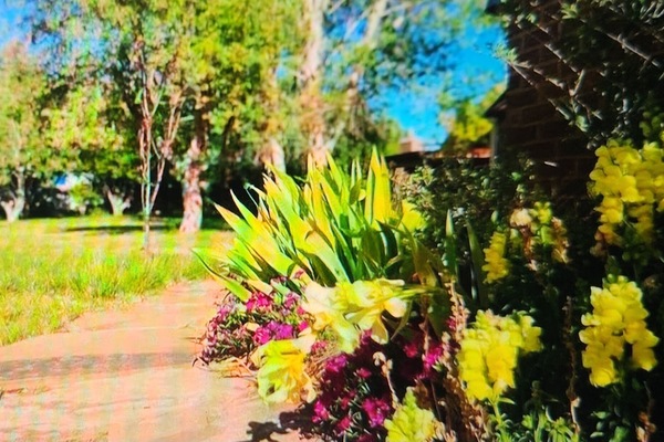 Detall de l'exterior