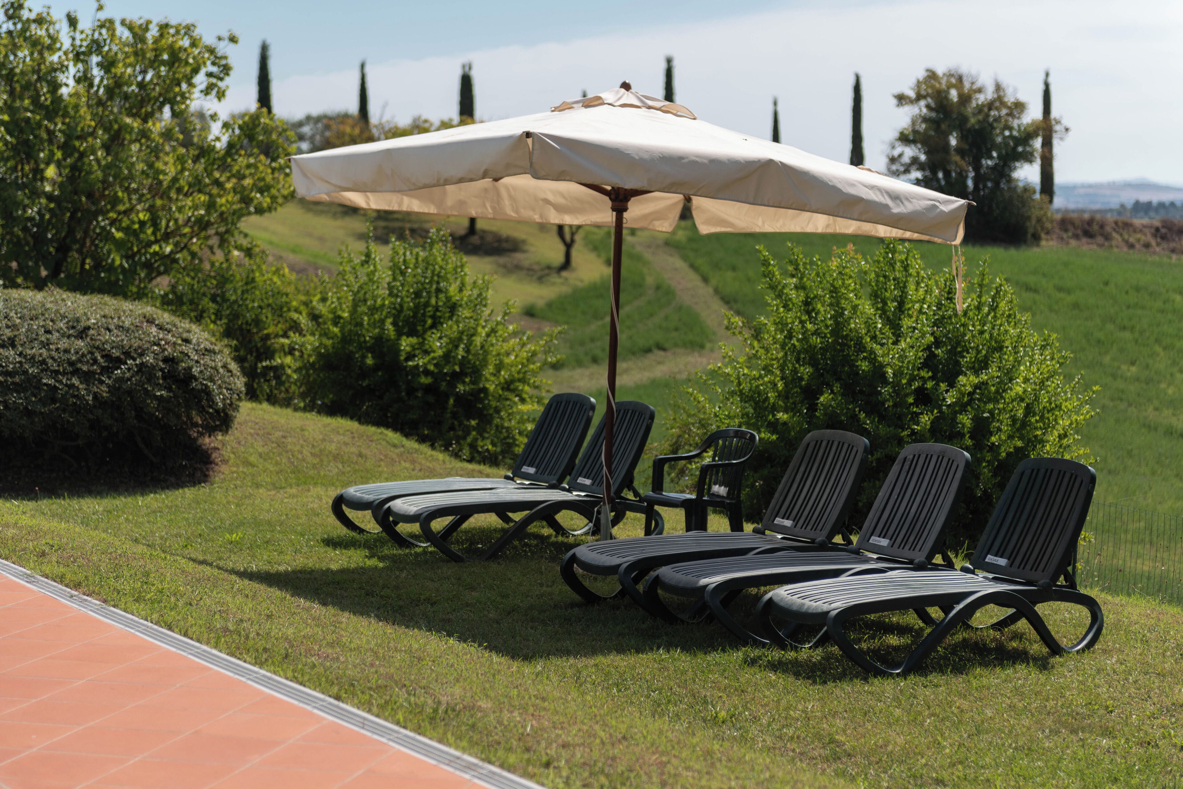 Une rangée de fauteuils de jardin noirs est placée sous un parasol beige, sur une pelouse, avec un chemin pavé sur la gauche.