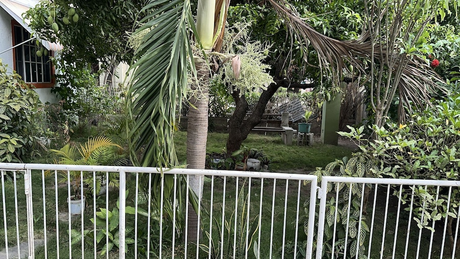 Room-charming Kingston Room to Rent With