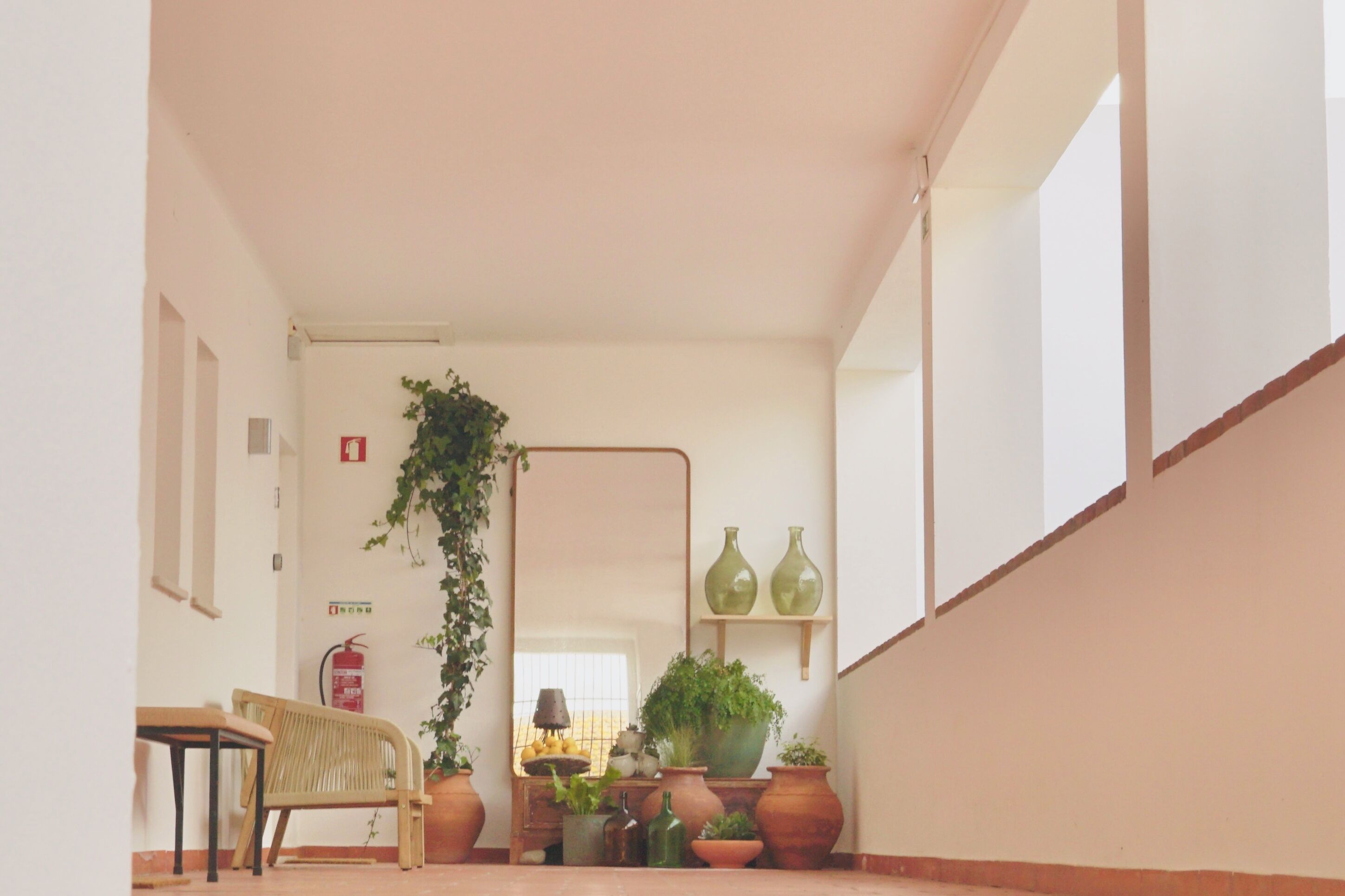 A hallway with a wooden bench, potted plants, a mirror, and a fire extinguisher.