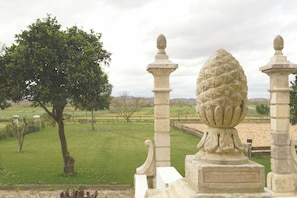 Detalle del exterior