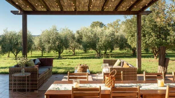 Een terras buiten met houten meubels, een pergola met lichtslingers en uitzicht op een olijfgaard.