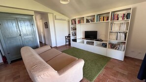 TV connectée, cheminée