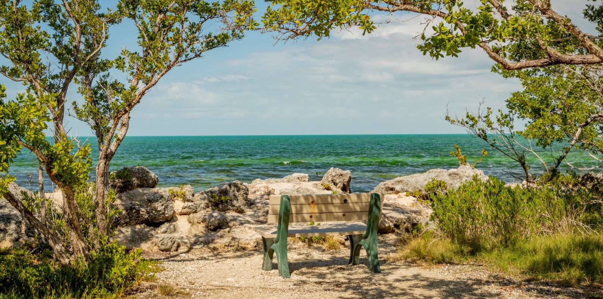 Eine Bank an einer felsigen Küstenlinie mit Blick auf das Meer.