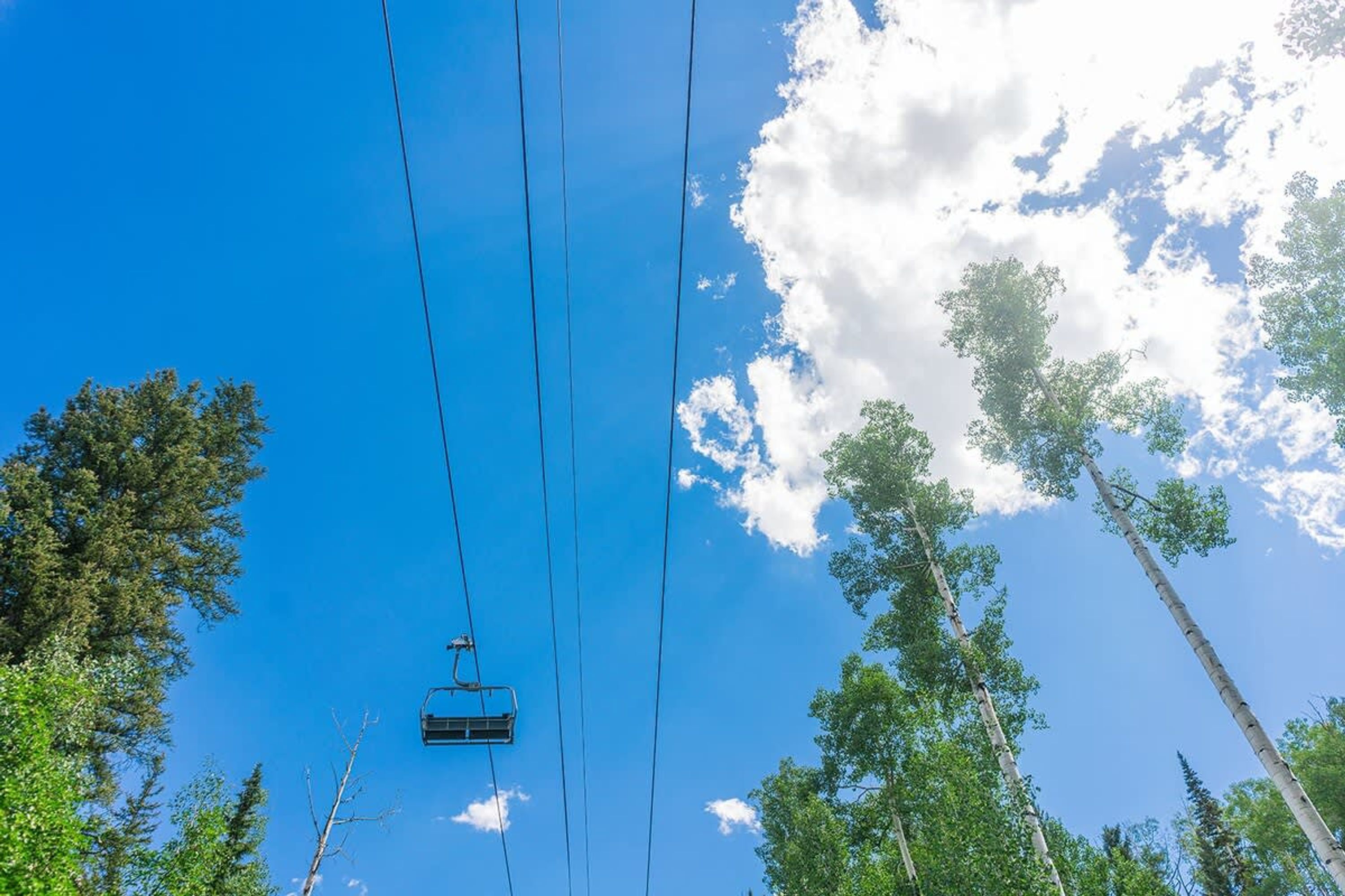 Une télécabine qui monte entre de grands arbres, avec un ciel bleu dégagé en toile de fond.