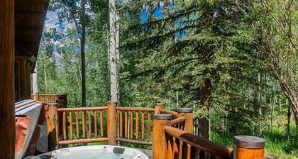 Absolutely Amazing Slopeside Mountain Lodge With spa