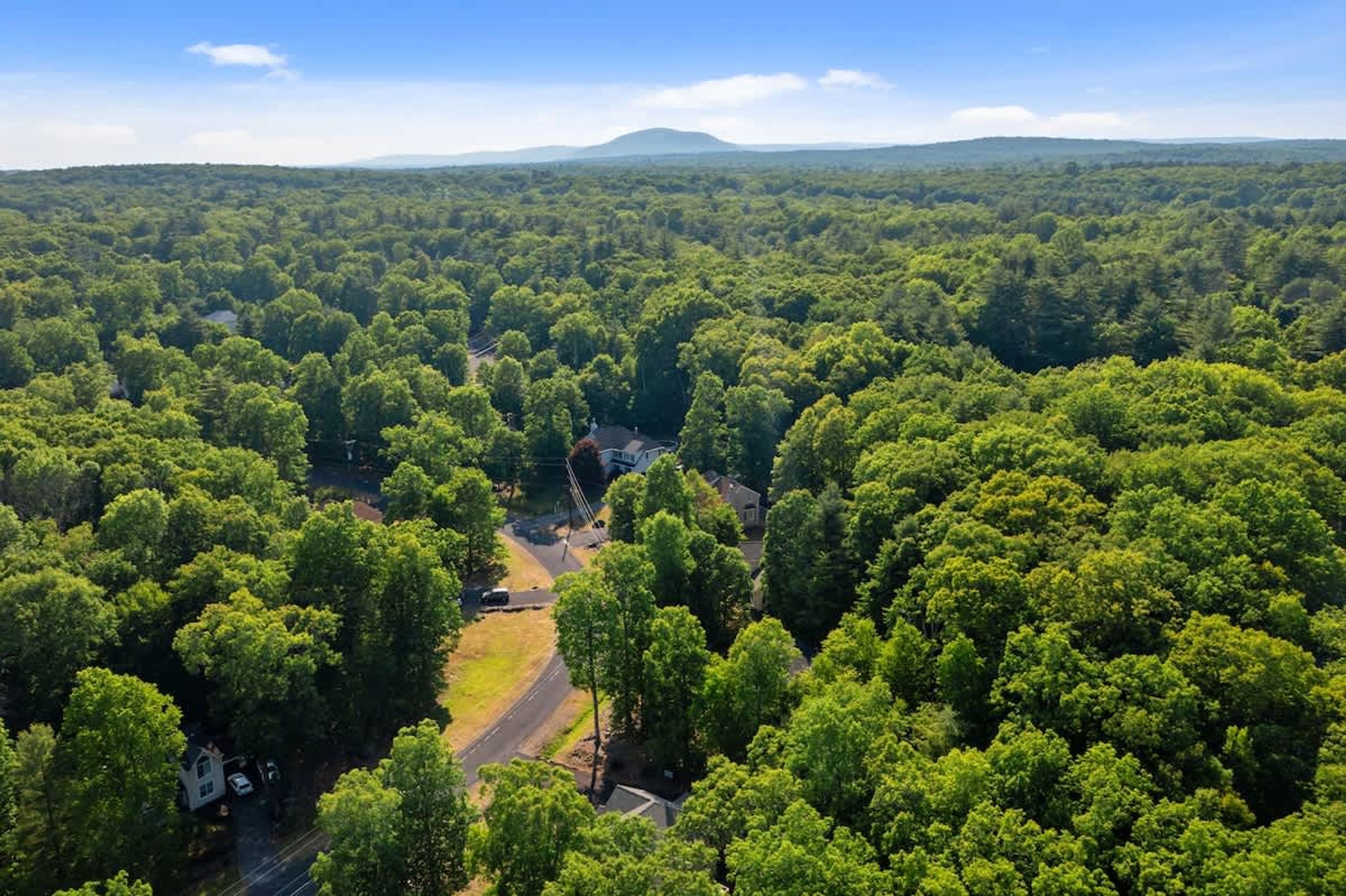 An aerial view of a forested area with a road, a small house, and a bridge.