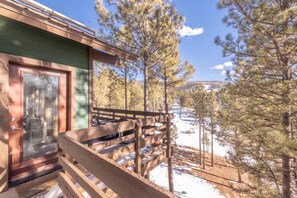 Exterior - Grand Angel Fire Mountain Luxury ski Chalet (Angel Fire)