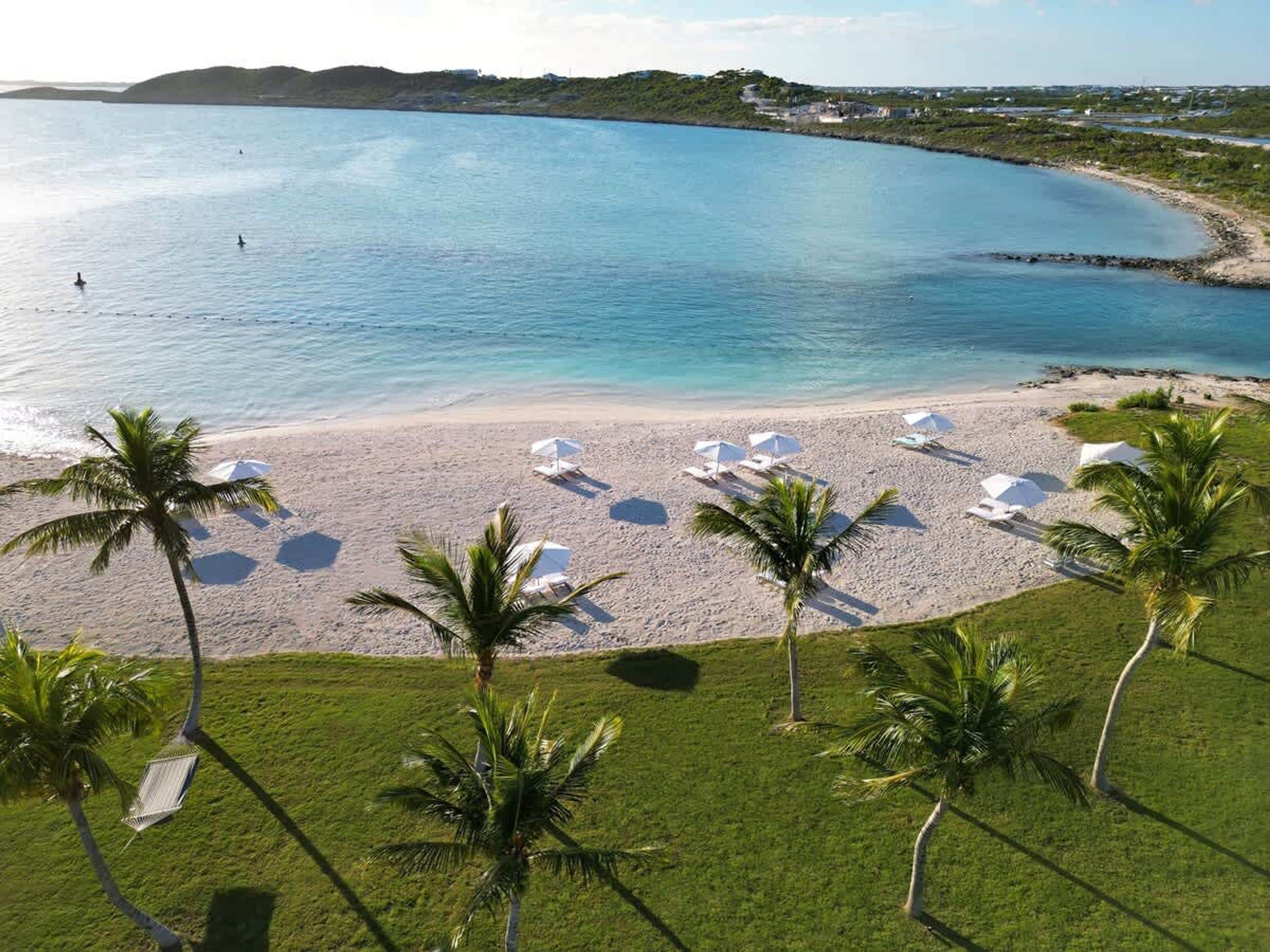 A beach with white umbrellas and lounge chairs, palm trees, and a view of the ocean.