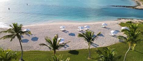 A beach with white umbrellas and lounge chairs, palm trees, and a view of the ocean.