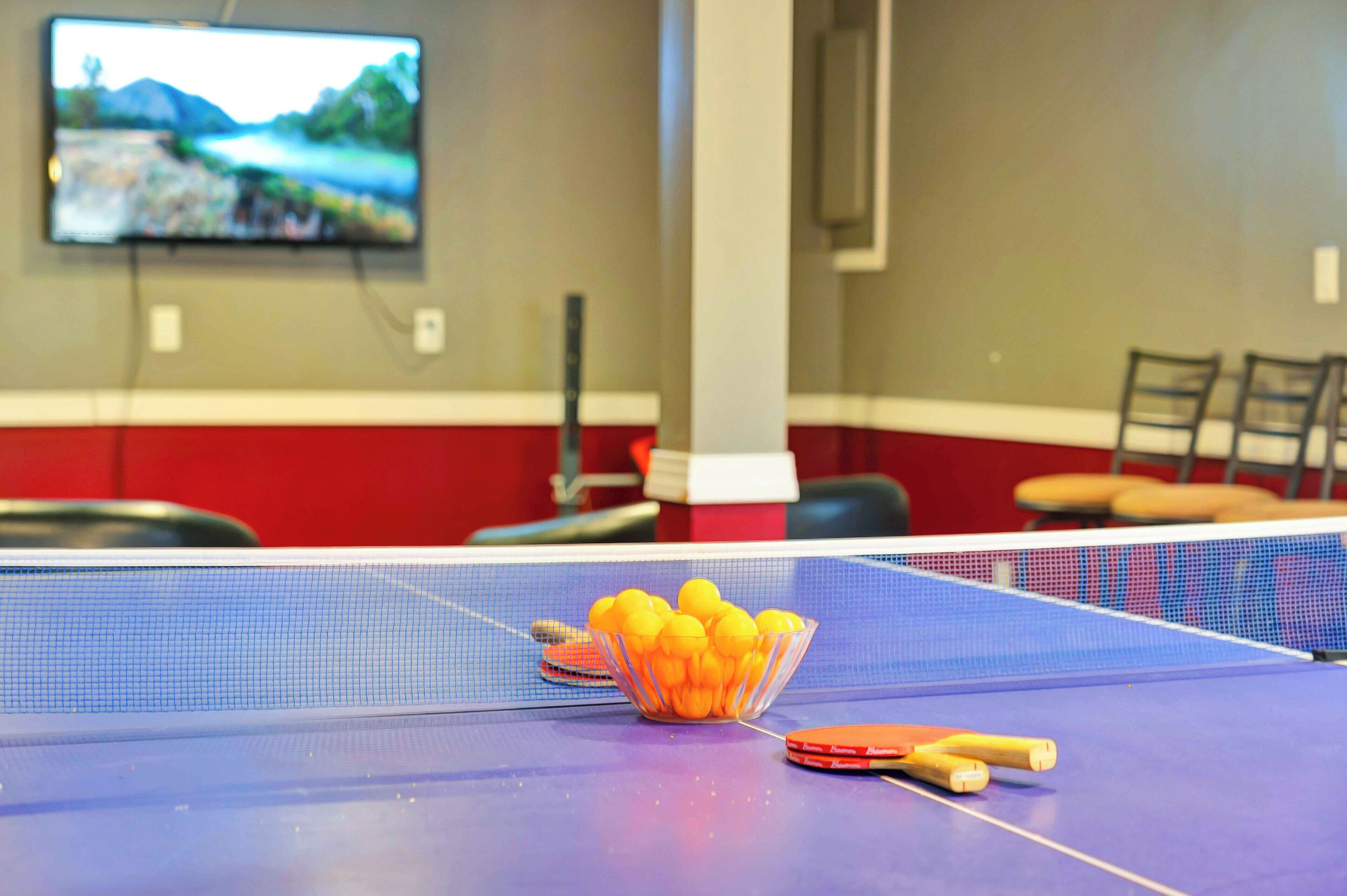 A ping pong table with a net, a bowl of ping pong balls, and a table tennis paddle.