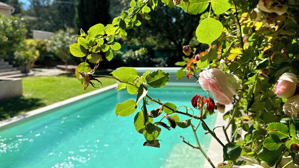 A swimming pool surrounded by lush greenery and blooming flowers. - Les Lauriers Roses house with swimming pool - popular area Isle sur la Sorgue (L'Isle-sur-la-Sorgue)