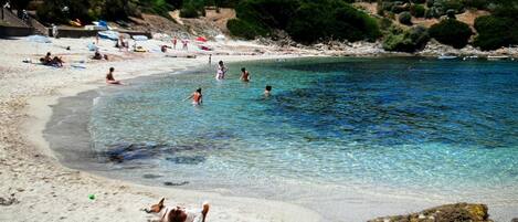 Strand