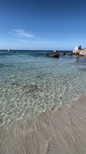 海滩