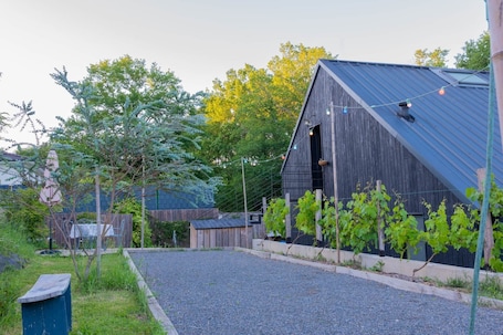 En rustik lade med et skråt tag, en grusvej og en vingård i forgrunden.. Studio Mandavi - Vineyards & Forest