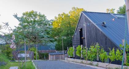 Studio Mandavi - Vineyards & Forest