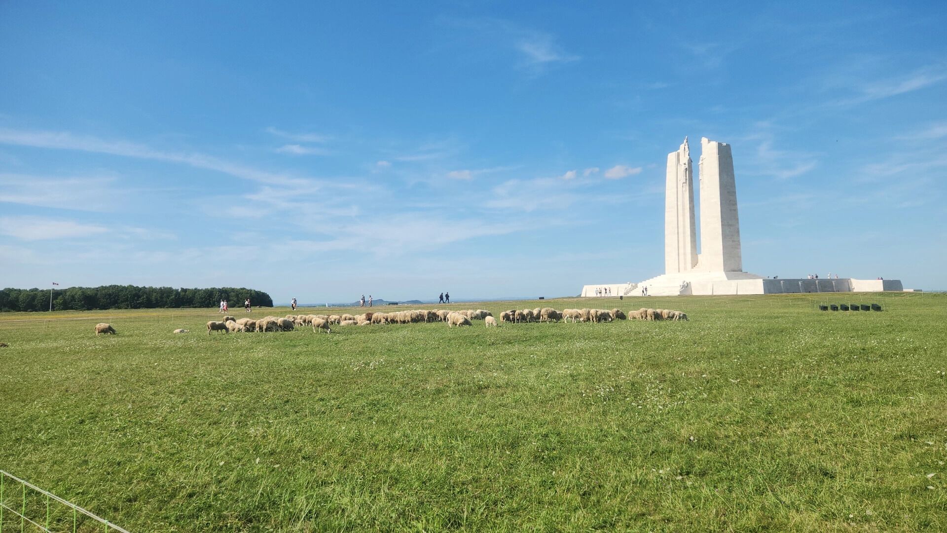 A large open field with a tall monument in the background.