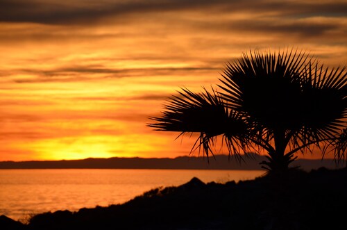 Palacio Del Mar 107, Only 90 Ft to Ocean & Wildlife-3-bedroom Puerto Penasco, MX