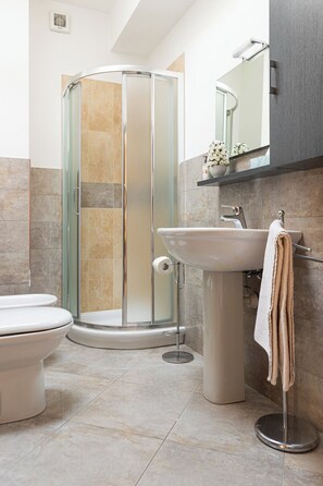 Shower, hair dryer, bidet, towels
