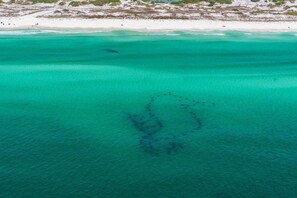Hus - flere senge (The Claddagh Cottage) | Strand | Tæt på stranden