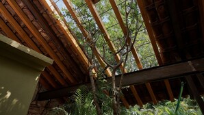 House, Smoking - Casa Verde Alberca Jardin Diseno Ubicacion AC (Oaxaca)