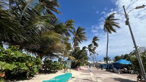 Un paseo marítimo bordeado de palmeras y un toldo azul.