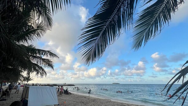Una playa con una tienda de campaña y palmeras.