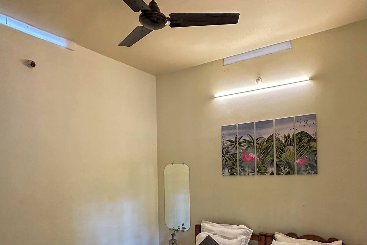 A hotel room with a bed, a ceiling fan, a nightstand, a mirror, and a wall-mounted artwork.