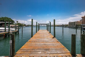 Marina - HO HO HO. COME SPEND CHRISTMAS & NEW YEAR'S IN OUR BEAUTIFUL FLORIDA CONDO!  (Clearwater)