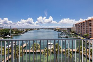 Property grounds - HO HO HO. COME SPEND CHRISTMAS & NEW YEAR'S IN OUR BEAUTIFUL FLORIDA CONDO!  (Clearwater)