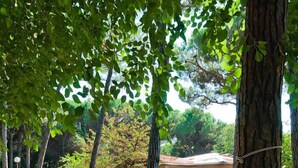 A hammock under a tree in a grassy area with a building in the background. - Villaggio California Bungalow for 5 persons (Eraclea)