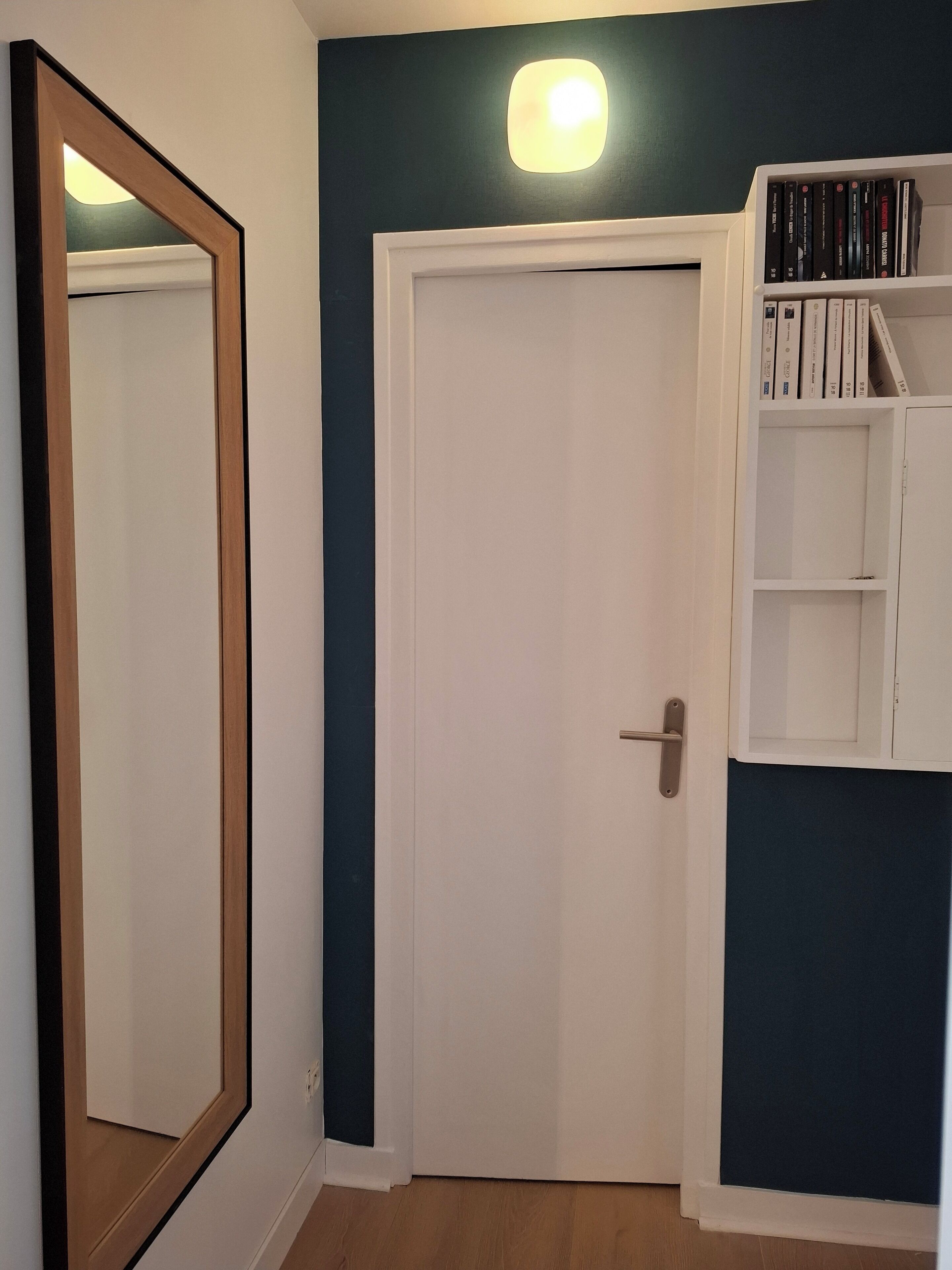 Una habitación con una puerta blanca, un espejo y una estantería llena de libros.