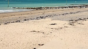 Een strand met een rotsen wal en een rustige zee.