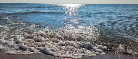 在海滩、沙滩椅