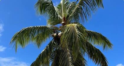 LILI Apartment with swimming pool, 400m from the beach.