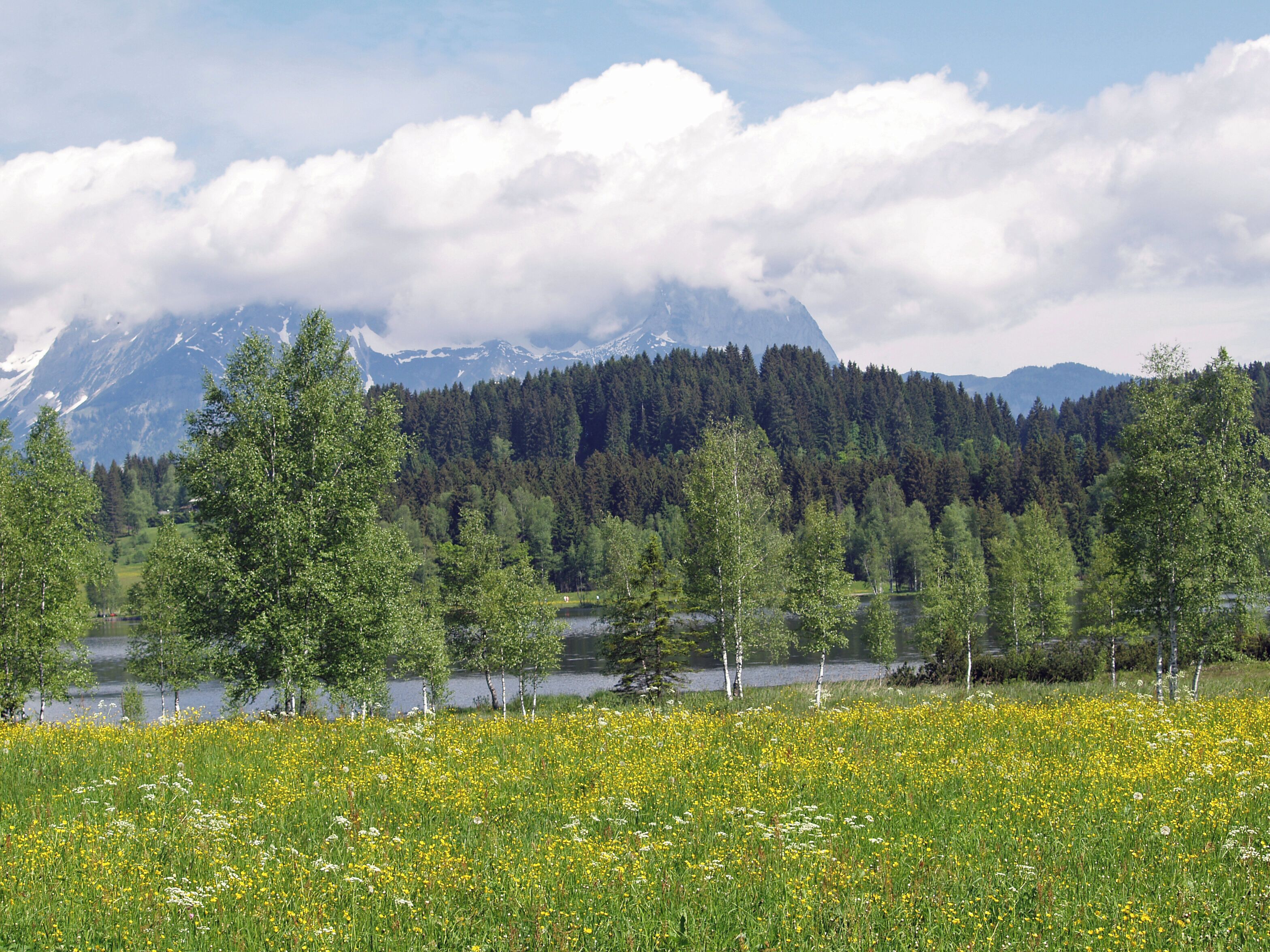 A mountainous landscape with a lake and a field of yellow flowers in the foreground.