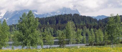 A mountainous landscape with a lake and a field of yellow flowers in the foreground.