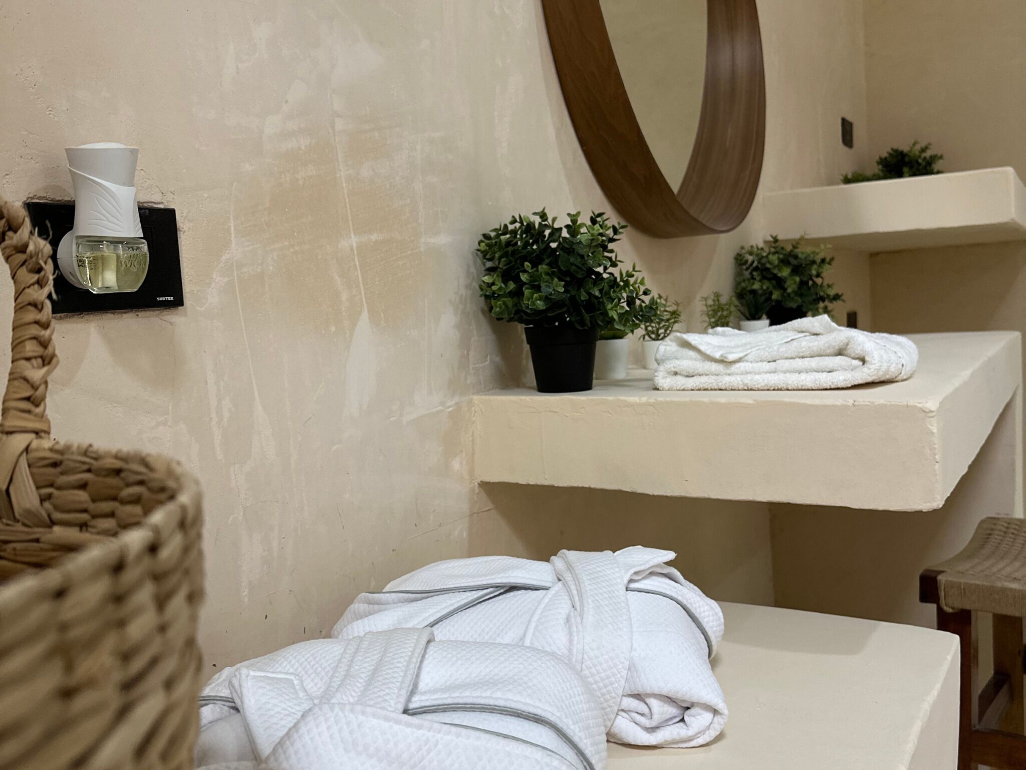 Een badkamer met een witte wastafel, een spiegel, een plant in pot en een handdoekhouder.