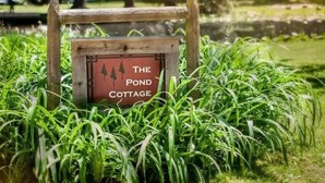 A wooden sign with the text "The Pond Cottage" surrounded by lush green grass.