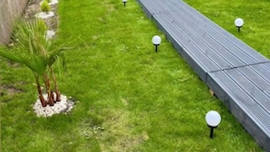 A backyard with a patio area, a small palm tree, and a wooden fence.